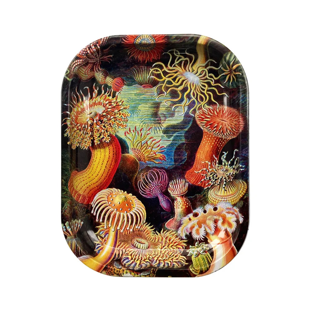 Plateau de rangement – Plateaux en métal laqué, format compact 18x14 cm